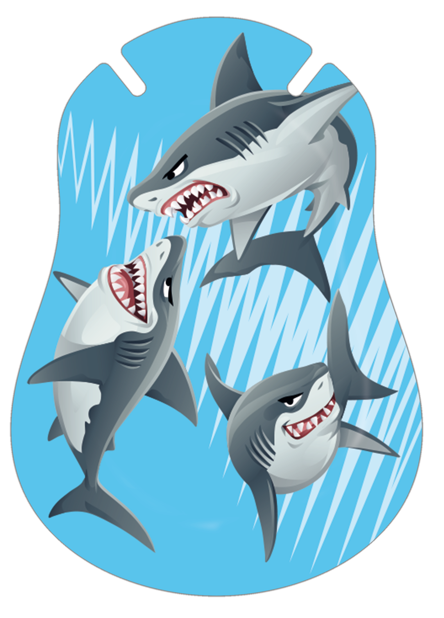 300255, Shark
